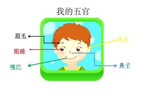 人的五官是什麼